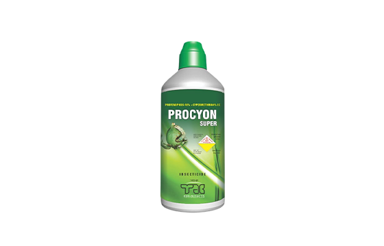 Procyon Super