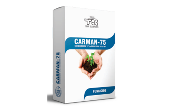 Carman-75