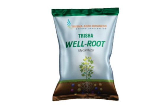 Well-Root